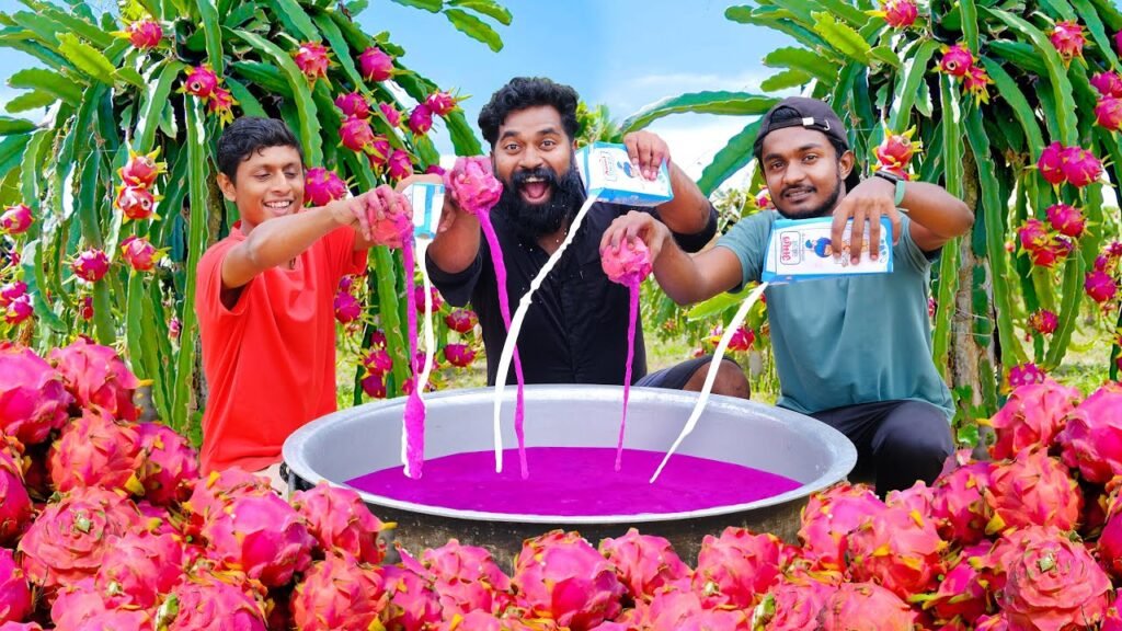 100 kg dragon fruit milk shake | ഡ്രാഗൺ പഴം ഷേക്ക് അടിച്ചപ്പോൾ | m4 tech