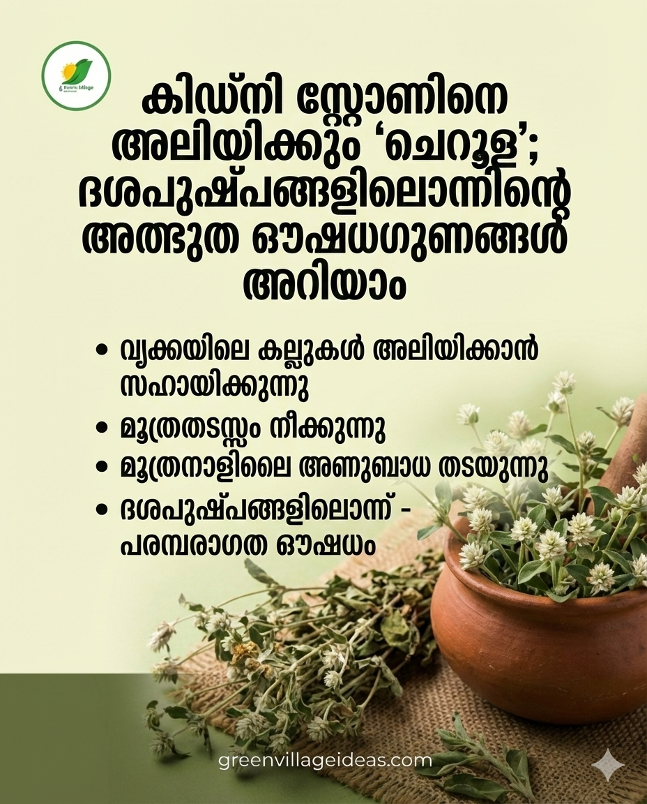 1000154567