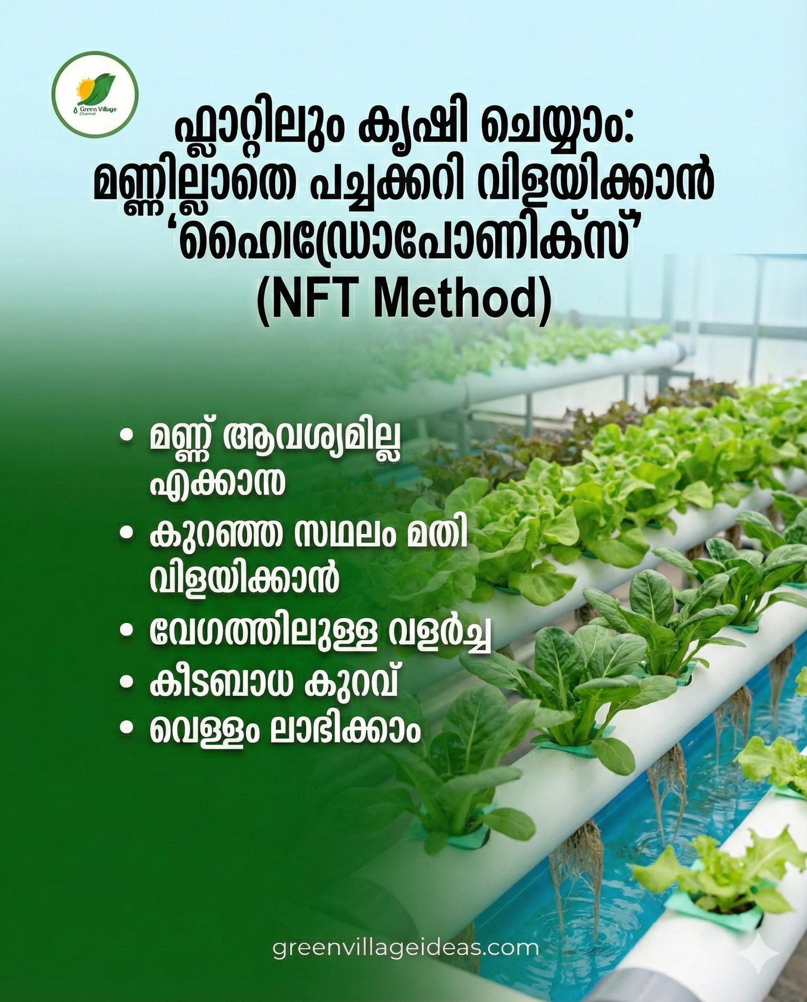 1000164729