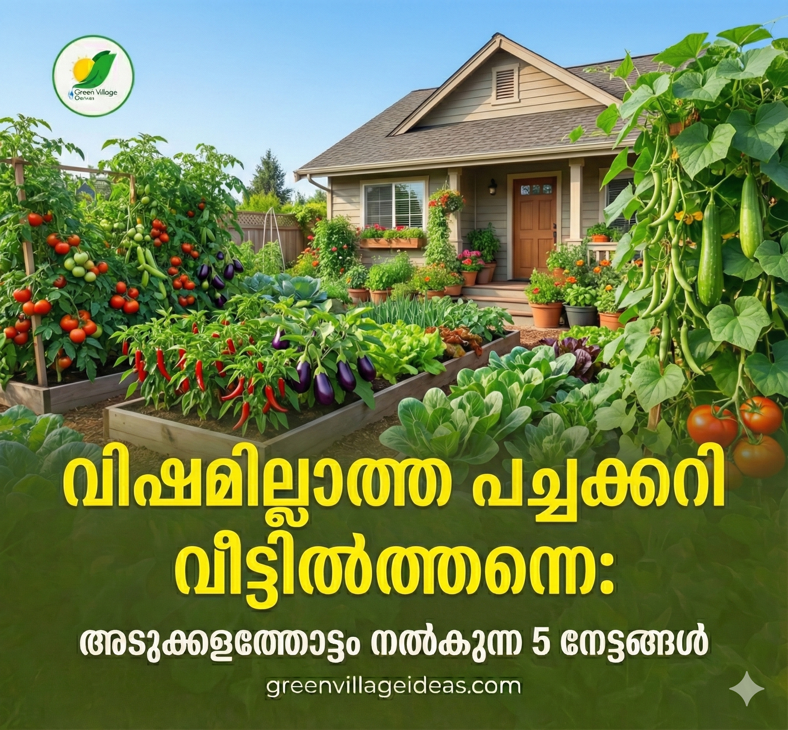 1000167452 1