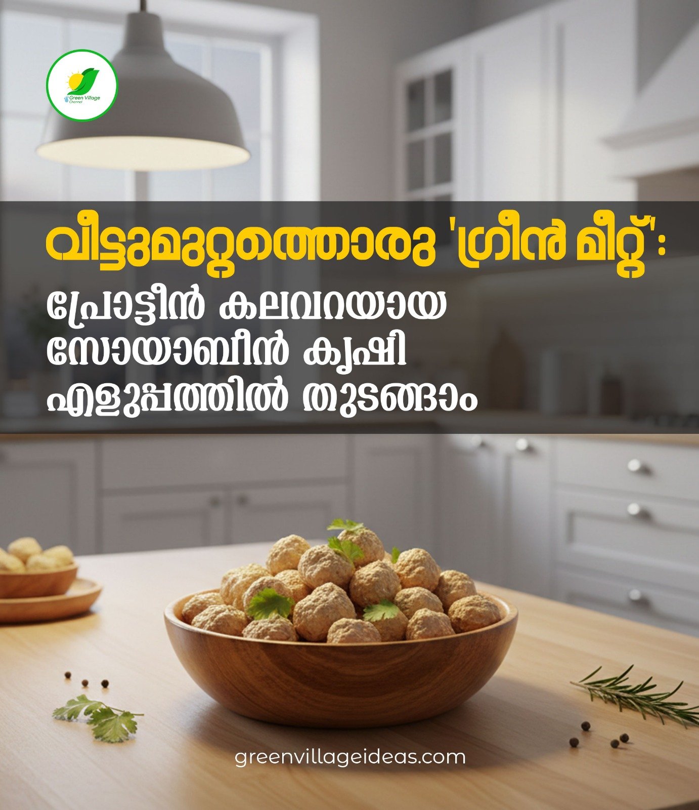 Soybean Farming Kerala