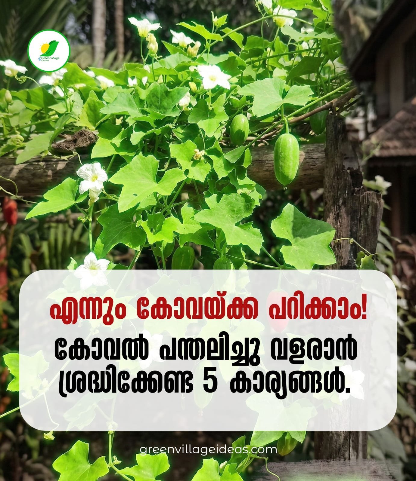 1000593573 1