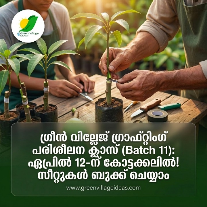 1000648131 1