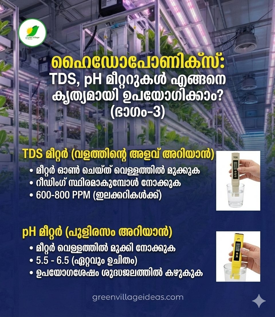 1000669360