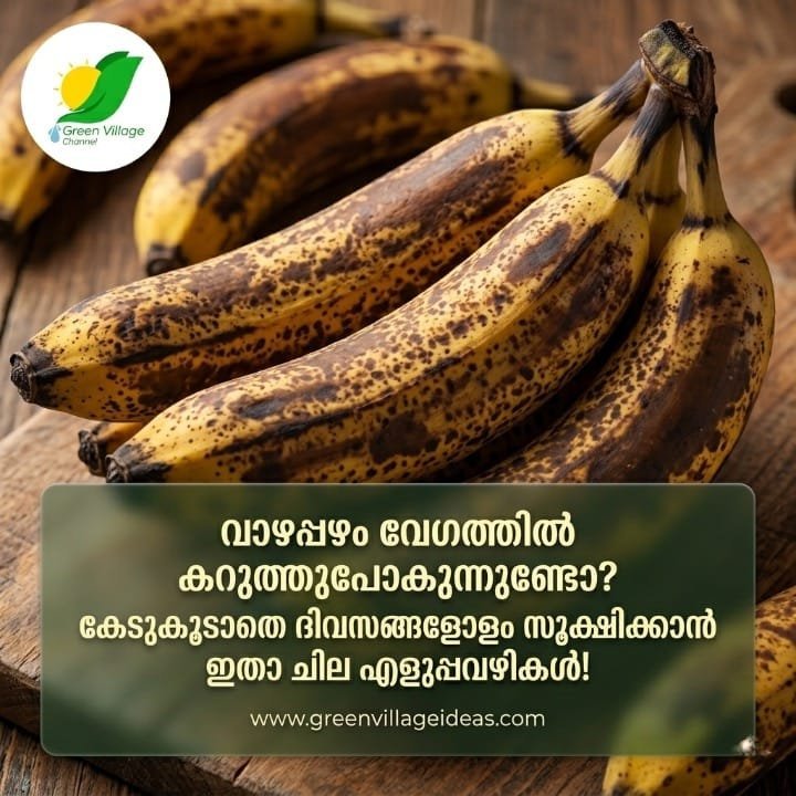 1000710928 1