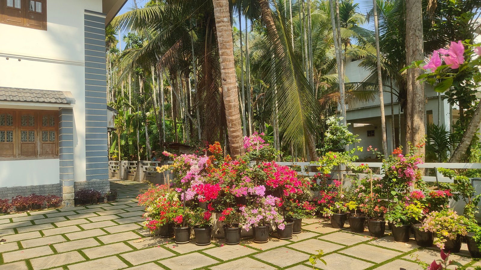 Bougainvillea Garden