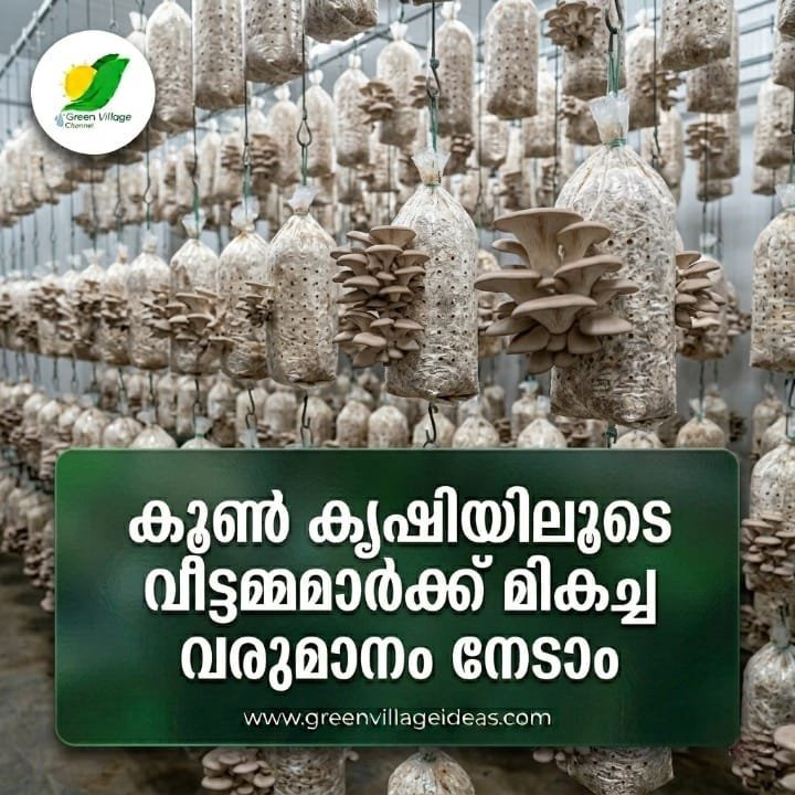 1000743360 1