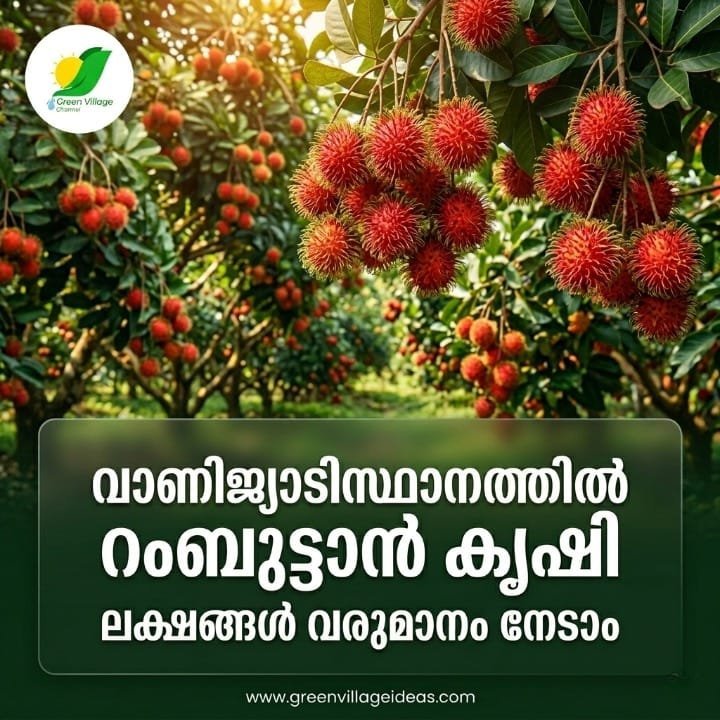 1000743361 1