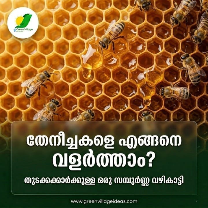 1000743362 1