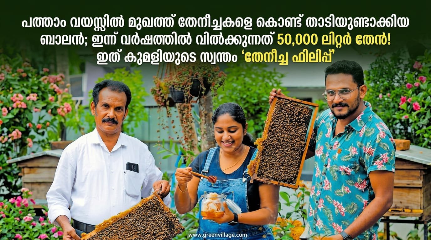 1000748246 1