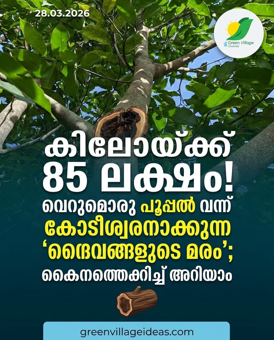1000755416 1