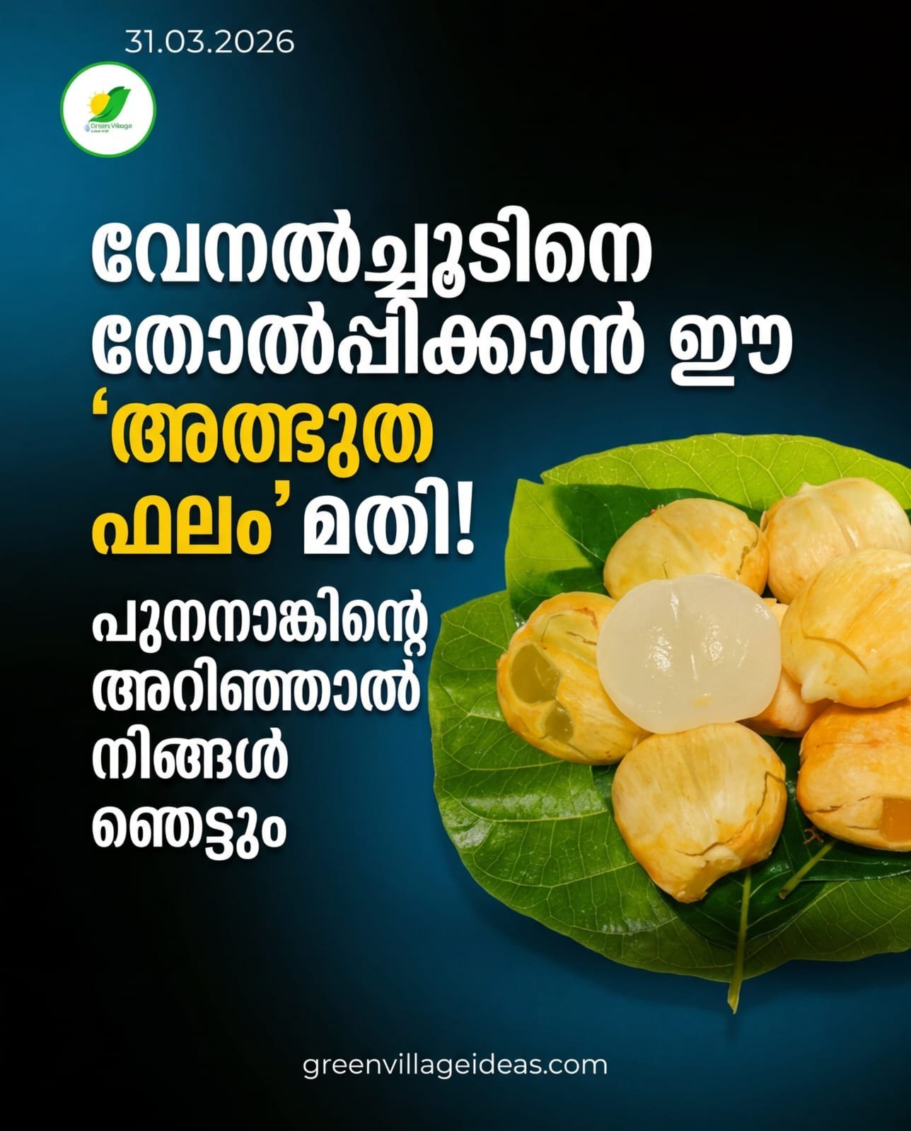 1000769567 1