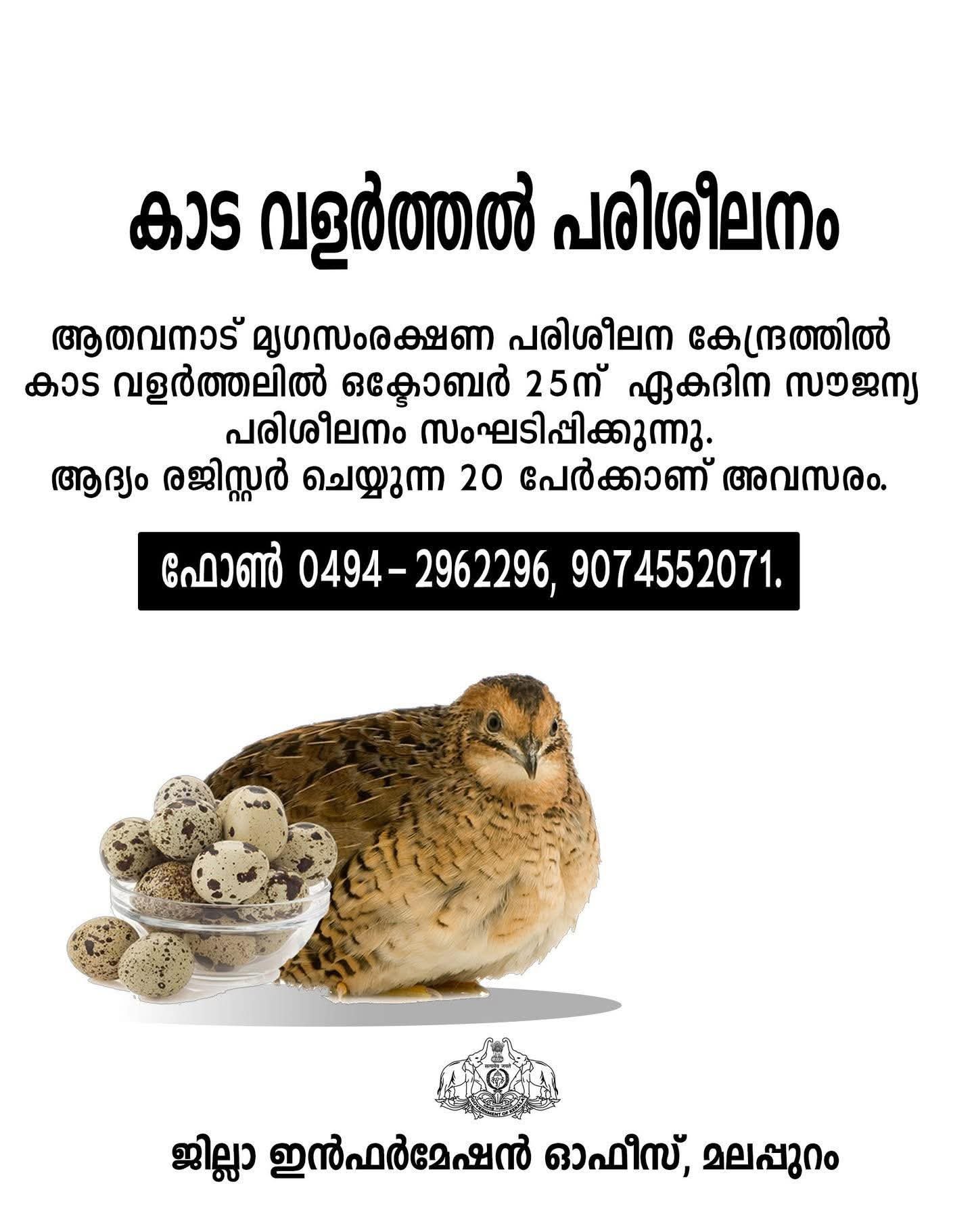1000867617