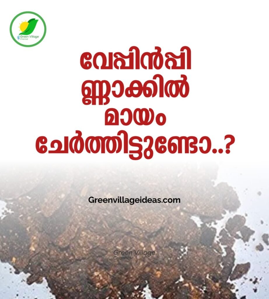 വേപ്പിൻ പ്പിണ്ണാക്കില് മായം ചേര്ത്തിട്ടുണ്ടോ..? 1000876565 922x1024