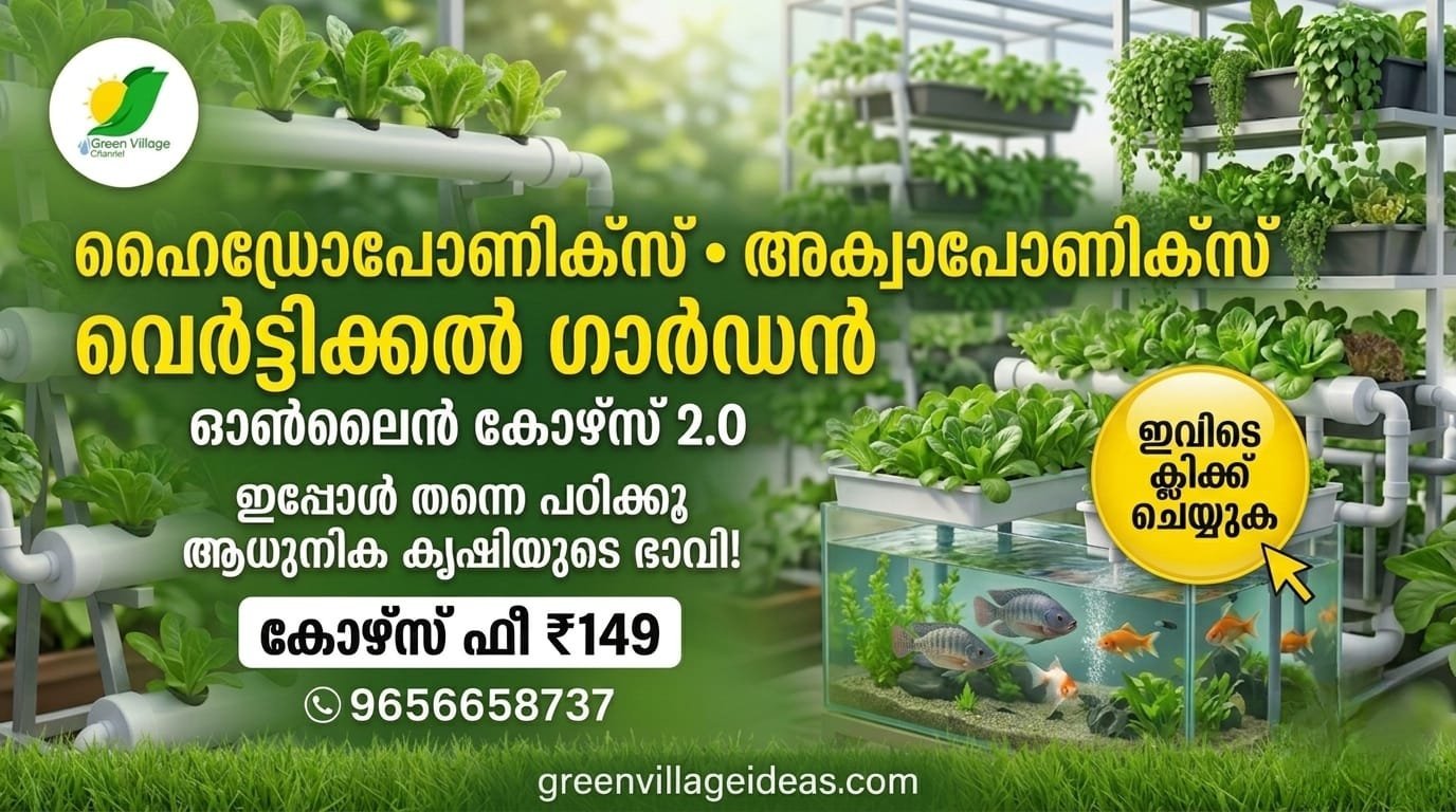 1000956331 1
