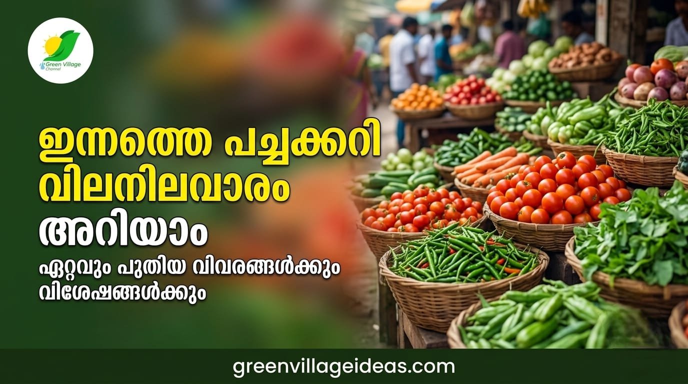 Kerala Vegetable Price Today