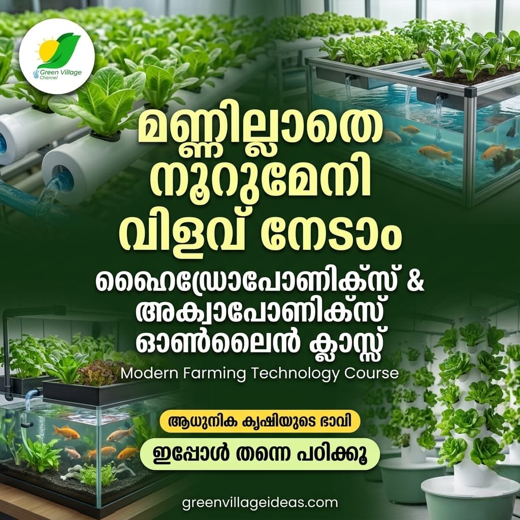ഹൈഡ്രോപോണിക്സ്, അക്വാപോണിക്സ് & വെർട്ടിക്കൽ ഗാർഡനിംഗ്: ഓൺലൈൻ പരിശീലന ക്ലാസ്സിലേക്ക് സ്വാഗതം! 1000979426