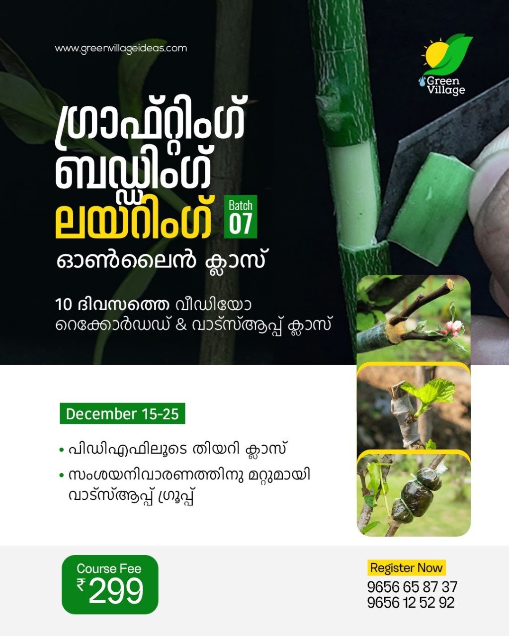 1001671324