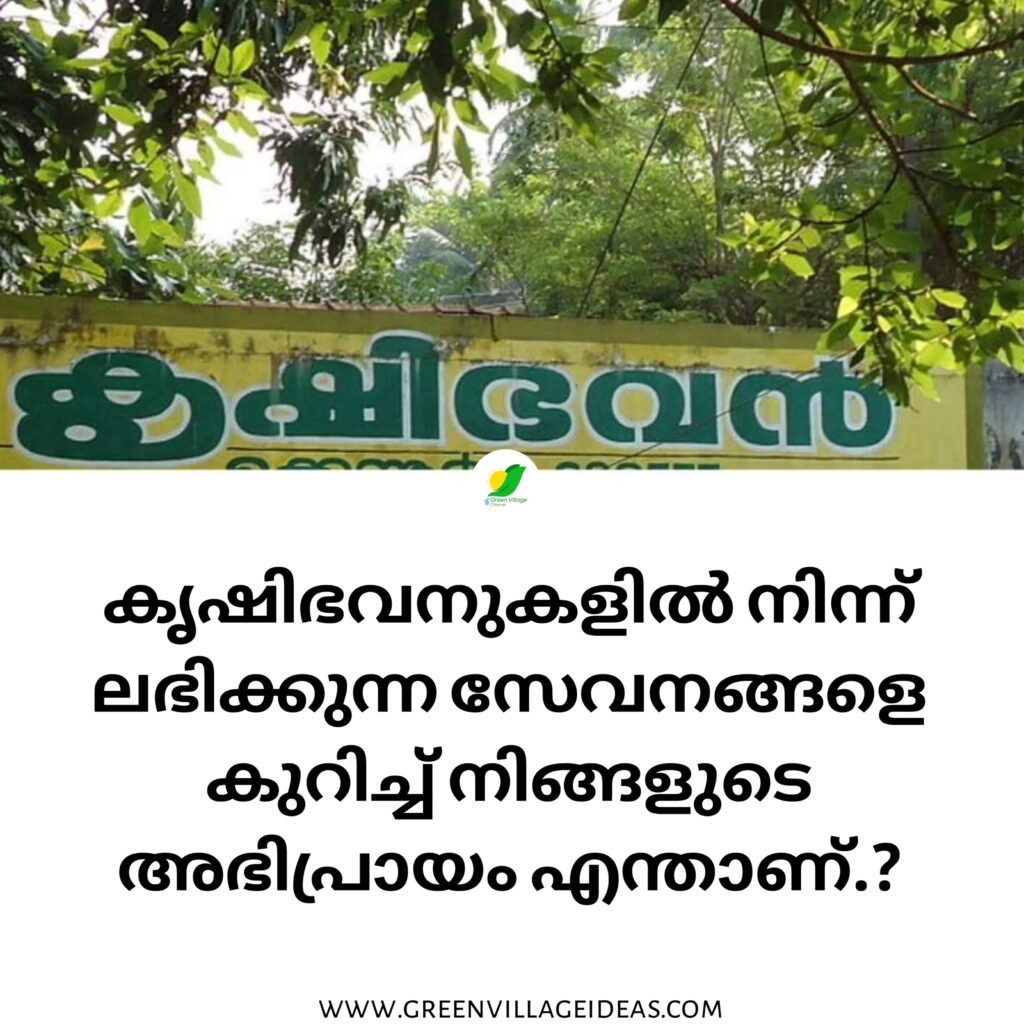 കൃഷിഭവനുകളെ കുറിച്ചുള്ള പരാതികൾ അറിയിക്കാം. | Kerala agriculture department 1003146215 1024x1024