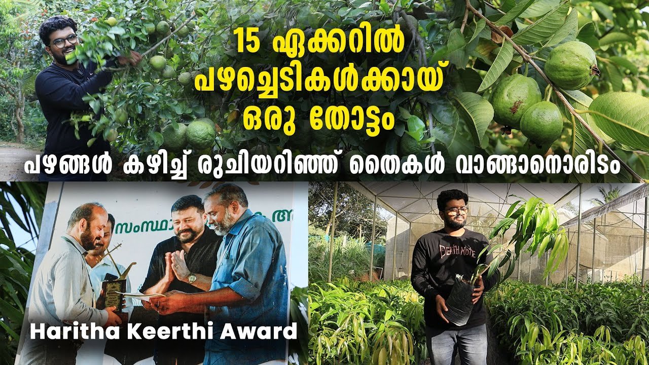 15 ഏക്കറിൽ പഴച്ചെടികൾക്കായ് ഒരു തോട്ടം | പഴങ്ങൾ കഴിച്ച് രുചിയറിഞ്ഞ് തൈകൾ വാങ്ങാനൊരിടം
