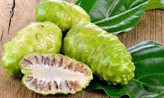 1500x900 1345901 Noni