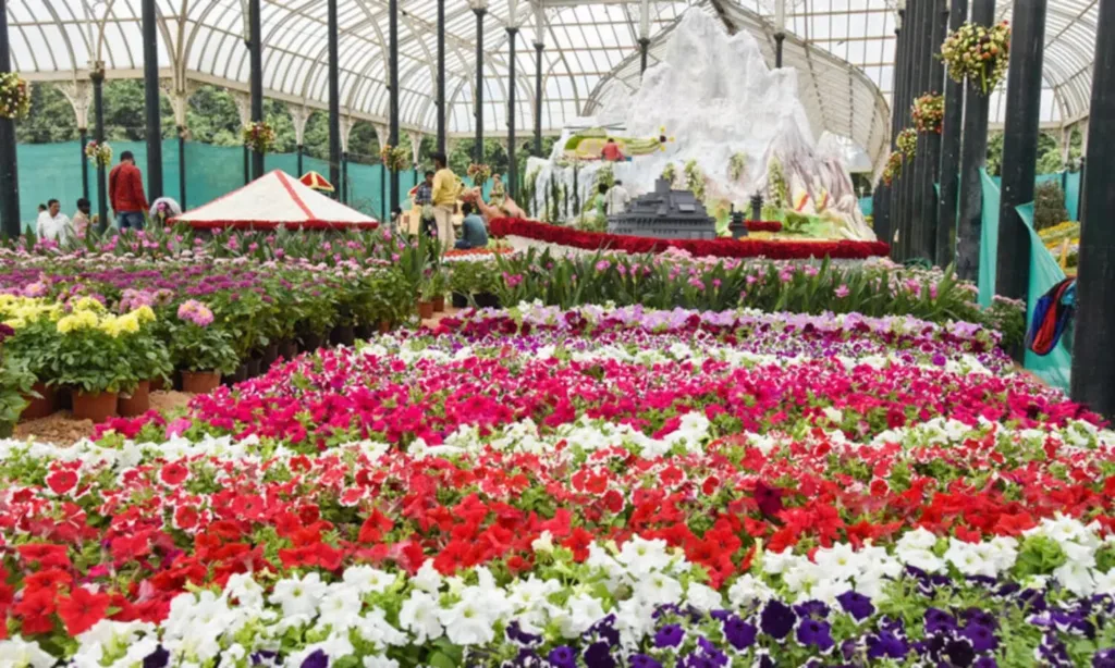 1500x900 2246634 Ooty Flower Show 89786 1024x614