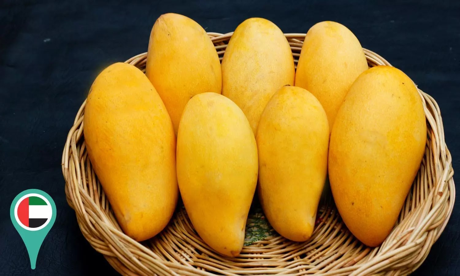 1908868 Pakmango May28