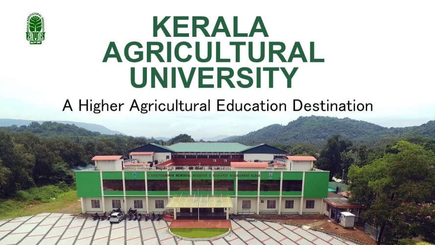 2024 06 07111729agricultall