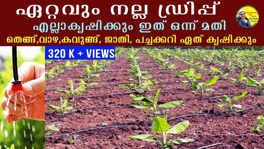 5 മിനിറ്റിൽ 10 ഏക്കർ നനക്കാം | ഡ്രിപ് സ്വന്തമായി സെറ്റ് ചെയ്യാം