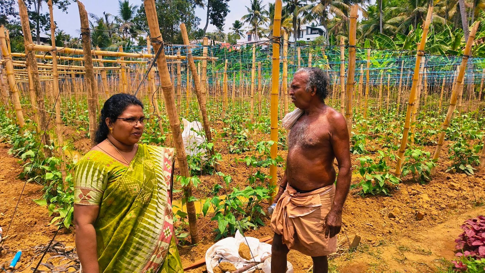 Sukumaran Nair Farm 3