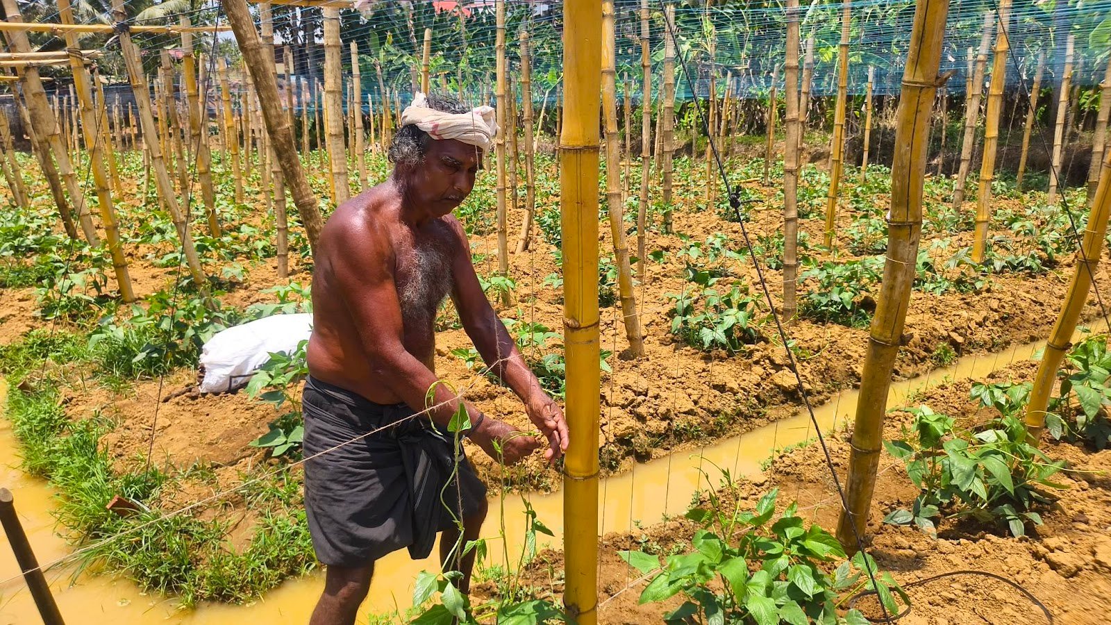 Sukumaran Nair Farm Visit 1