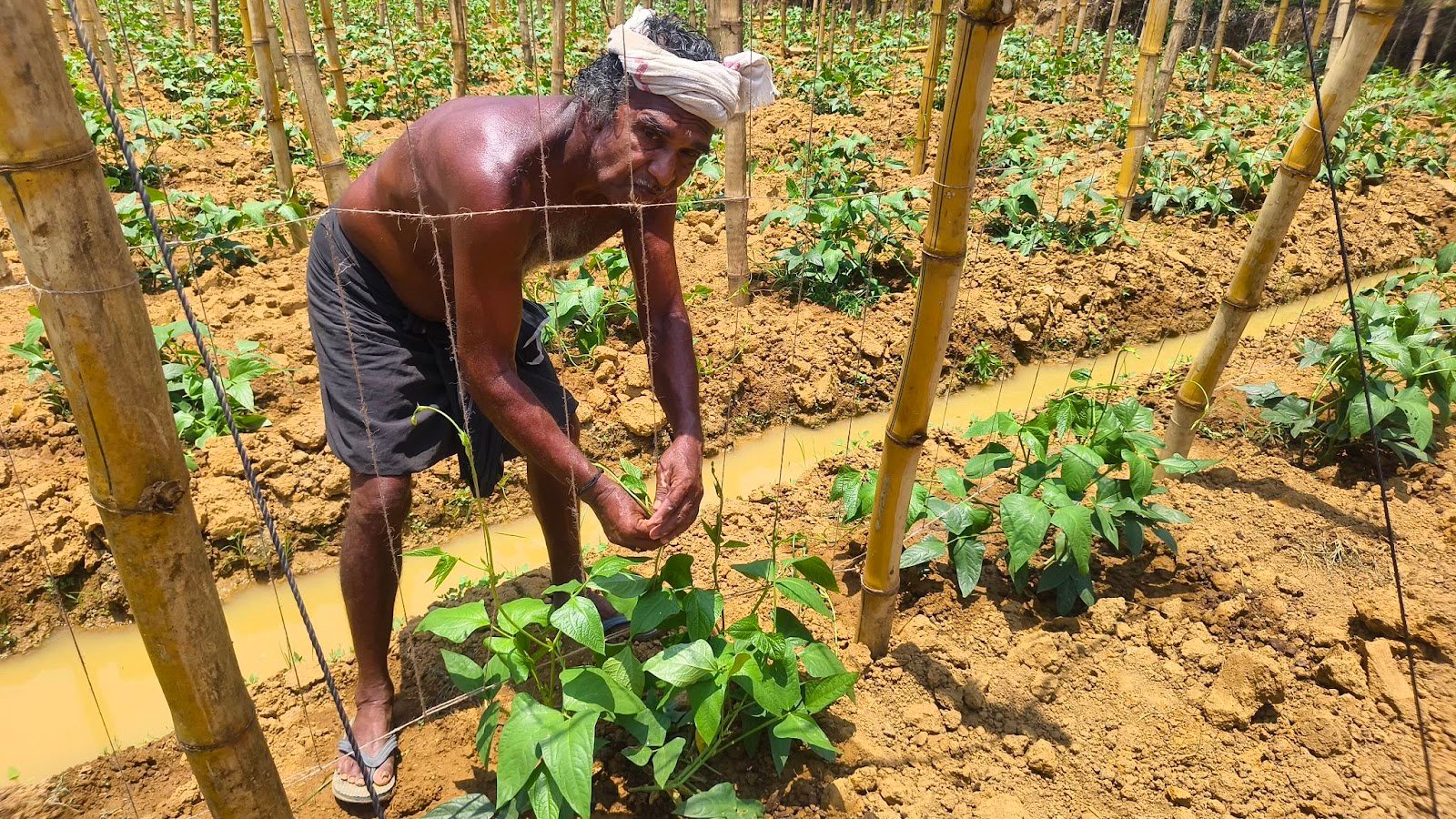 Sukumaran Nair Farm Visit 2