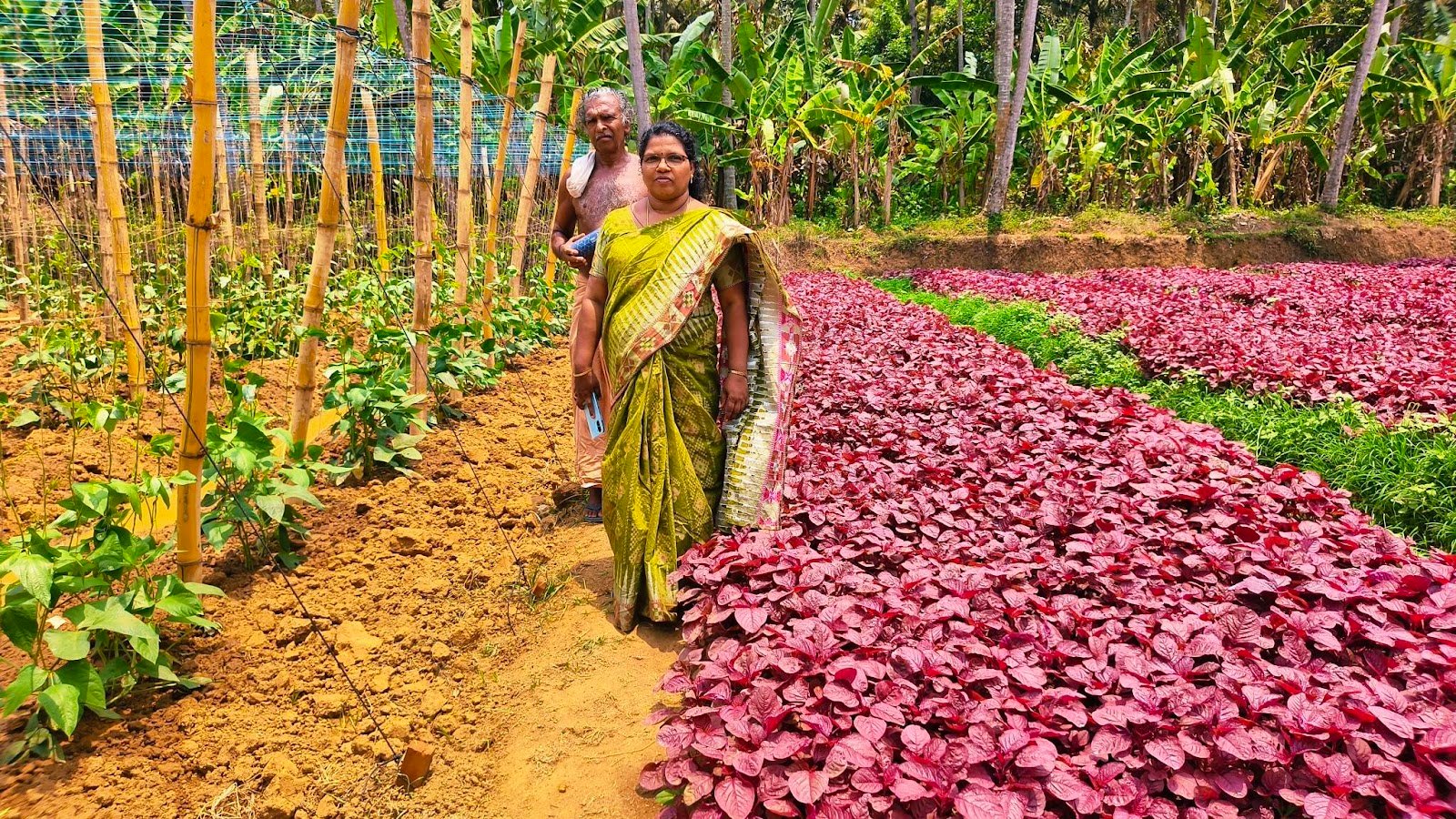 Sukumaran Nair Farm 1