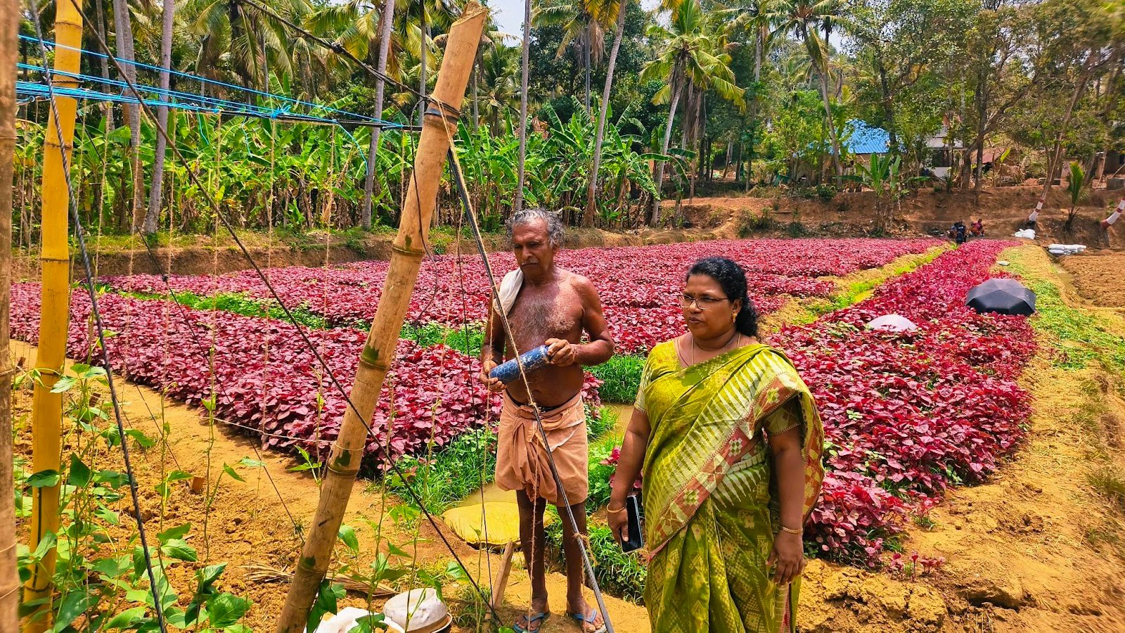 Sukumaran Nair Farm 3