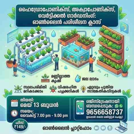 മട്ടുപ്പാവിൽ നിന്ന് വരുമാനത്തിലേക്ക്; നഗരവീടുകൾക്ക് പരീക്ഷിക്കാവുന്ന ഹരിത ബിസിനസ് ആശയങ്ങൾ! AVvXsEgPM6YAilpPoKNe3TgZieqxuM4XA2WkeJ GrL72Mpm8egAvmIcO17GUpCCHPmqAdCwHFmB1 PzIFNzidZhv5LHo 5SzIrWCWwAs6aef8KPsPxQ11QgcprRTg1gKdL5KiroOrUJEiDgb1sRY5icTiQL H4Yj9nBMp6FMo4iZcC RRLNJCYPizaOBdlz6z I