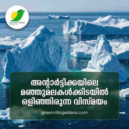 കൊടുങ്കാറ്റിൽ വഴിമാറിയ കപ്പൽ കണ്ടെത്തിയത് ഒരു 'നിഗൂഢ ദ്വീപ്'! അന്റാർട്ടിക്കയിലെ മഞ്ഞുമലകൾക്കിടയിൽ ഒളിഞ്ഞിരുന്ന വിസ്മയം AVvXsEgS3bfpsMvYnCOC52dId3oeThak4Zt2q0Bae T105Mp E2cM3EMAOrGElI5sNsIxS4q5DCPd LDYup8oaGszGIVLJbDN6FLtkujPktrNUaQMBO 5o8BqUfgX5sIpMzneo9u1uEUlRAoO GZGIAwruZp2pwvMXj75IwU7wcewwmLbUAXL LprHZ97WTKFXY