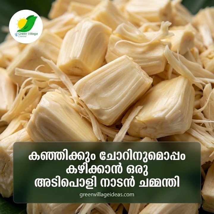 തേങ്ങയില്ലാതെ അരച്ചെടുക്കാം: ചുട്ട ചക്കച്ചുള കൊണ്ടൊരു നാടൻ ചമ്മന്തി! AVvXsEhPsZcBklgKAMuxa0SS9zByM0bb8XeczMcZY5jA3 WkbK0h8FeCpU9tWaQaLqRJ7LuFzj3Jld8s8e7rlvUEckOlTQym2SIErrFLOklWxZN0kFLwScUHYoXmZkt LkvndhyR6XlqYocMPwQwjp8JaJ BF0RugeweD4vP RBiXX6LkwDcGSsif0ZgM0xpV2E