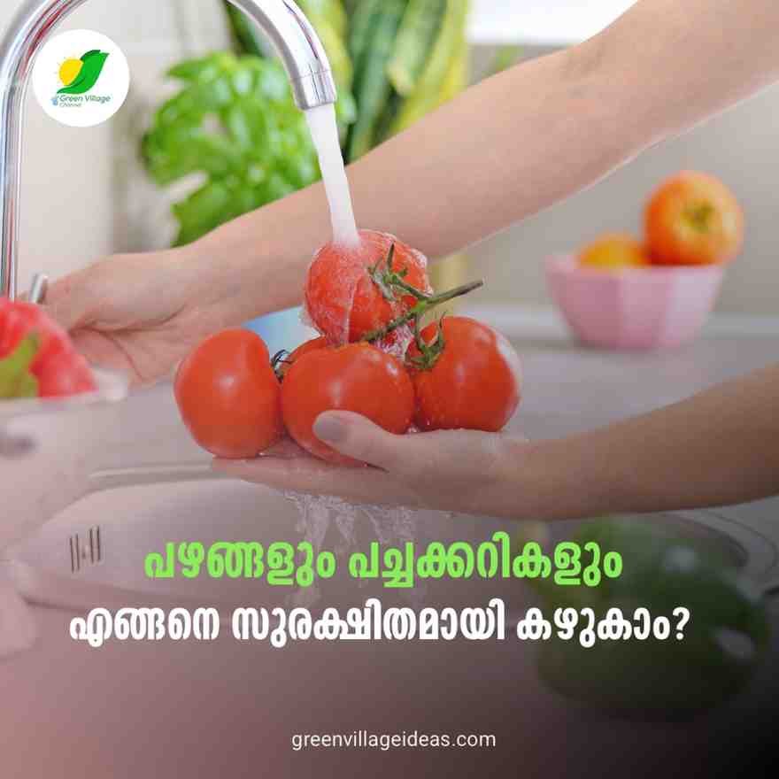 പഴങ്ങളും പച്ചക്കറികളും സുരക്ഷിതമായി കഴുകാം; അറിയേണ്ട കാര്യങ്ങൾ! AVvXsEhboCmf81jXC BIw6m45seg1 6U1HAgoOr1zMp8kG6UBS1P1Ujelbko0wPMRCJM7p9bCfEycDbl4qSIvu5K65DFaas2LrwMQp7nfe BJxGrkEdz3 G7S8VOWcSXtKc2y4 StzZPtS5MeF0lymeUyWxxzNgsEmY2O794kDxKqh9RoMuPqxGlGjZQx UVXwg