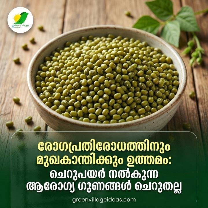 രോഗപ്രതിരോധത്തിനും മുഖകാന്തിക്കും ഉത്തമം: ചെറുപയർ നൽകുന്ന ആരോഗ്യ ഗുണങ്ങൾ ചെറുതല്ല! 🍲 AVvXsEhwb1kGKZxLGxr2D3tDa5LlBzDPSgnX2tnVJ2hZBMrC HeznK0Hz8Luxk10tt6Yt8K57A9aUEthae8jg0VGiREBFO5eajQfCJaqOG4Obm6dHkY77Z 76YNg3CpT2zkkHJSNTdVOWajqcz49toTZwe4ZYPSy8EsKbepll6cxW XkM8FBNOCPokYGIkvl89c