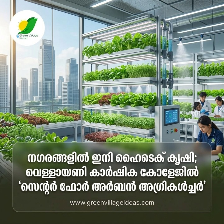 നഗരങ്ങളിൽ ഇനി ഹൈടെക് കൃഷി; വെള്ളായണി കാർഷിക കോളേജിൽ 'സെന്റർ ഫോർ അർബൻ അഗ്രികൾച്ചർ' AVvXsEi7Nr7DXyeSA9yL27mXpzJ6SPEXPPVaDmr GZm8GQCOfFDGuv3tN91UKvpJmIkYhgUK5Eic4D6ql72n QUeLakhjFasp08en MG6ub KMR8U552UwpFZt3vCB3kN8o MRUH6xiq0ZmvCrUZiliA7oNpGGbvn7HDd75CWRrgc0pTm9K7YN5M93vcmdbOdXAs16000