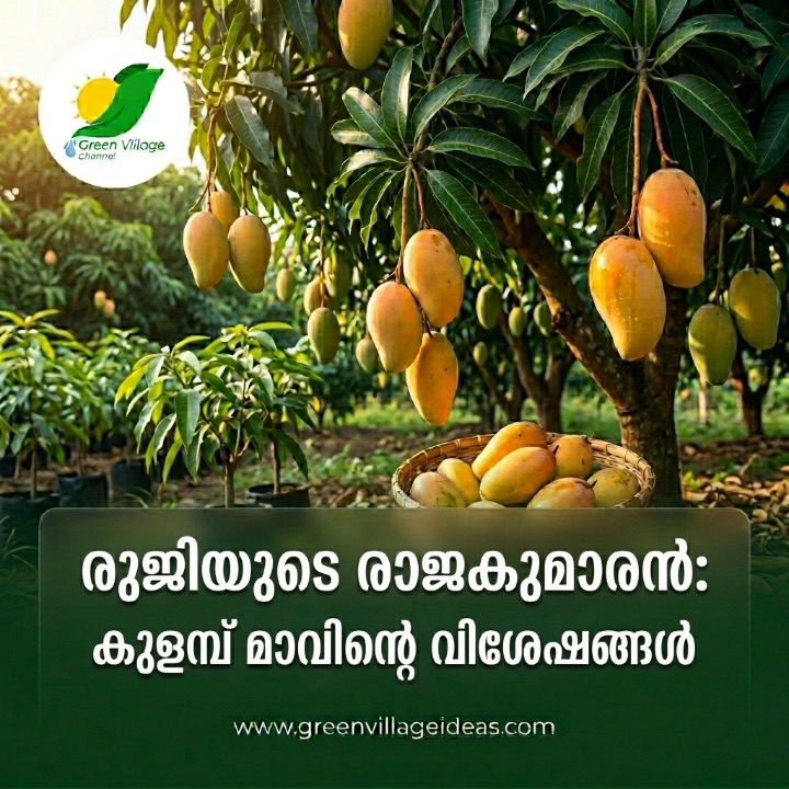 AVvXsEiG0QCYHzji9ehbjSgCOc 0s2dRlExOQfA BZPw0gMypZo2ViJPGvdoYLJIIfbKEKuaH LSNA9 HZU3eCeu0TioPq0xfIp1wU679EqQa7omA3 CLufv0CQI1AV1dEZgjWlZ1f3UbPVIKN0VnQN8KUank7P28ttTedeCaPkY7iO9EA59XMY69p3vGDH WVQs16000