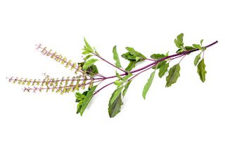 AVvXsEiKu4xRPMI4bMOmd9 DUWxNwG0OVoYBsoDU65VZclknd WG2iQ2NlBS3UVP ZlU4ITmFMJcbNUk909LBkzNmRcmrRhPE C 6sFf2jSBCd5Z7tEUh NLoWxUOp5qD4ZP 9asVvafD8pvszPo1G0zYKWo09q3GWO4OzLNF7bsCjOM H7zSU7rHPzuux6os320