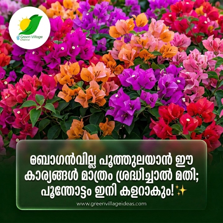 AVvXsEiNUAm4Zr6e5Q7wdAkOIeUvTnX37EWGokE3RbjdAfhTjl3s OoSSkbprYbim 5RYWX9GFWphsH5AQjbL0Fx42WbQQoXjWmFk16bvpzyvlbRb2JLCsC00ejUgmpby6Us4xRdc0SZpbjqRCMw VCBdKUu XuEmjjugDpVEVwjWzpJe4XSL3z ITpC2Y2W Ks16000