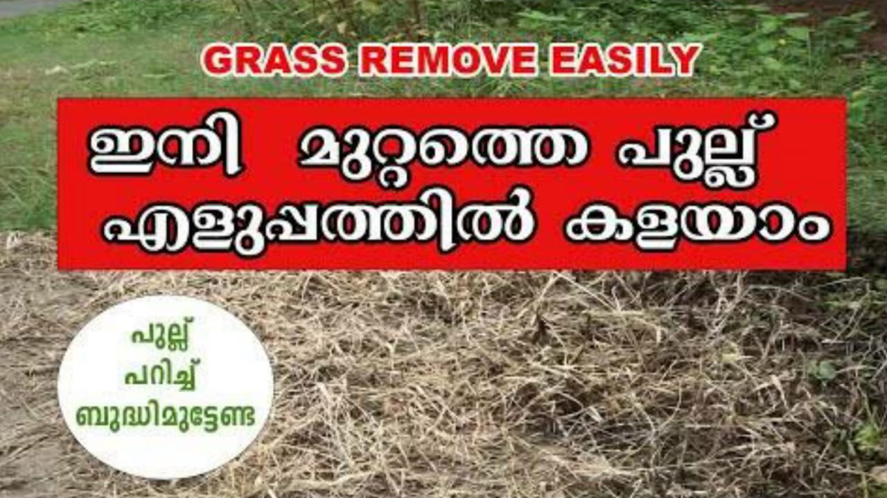 ഇനി പറമ്പിലെ പുല്ല് പറിച്ച് സമയം കളയണ്ട, ഈ സൂത്രവിദ്യ പ്രയോഗിക്കൂ AVvXsEin56cNNLg4ZTCIqOtLc EypPYBS6HzSefzChX UrmRXs 5Alo5NRlGRbXoXZ G8EuApWIo54d 6 PIQhQ331sh4Qt9FDQl A1rT1 YMke9BNBKwSFESjZhSIh3L57zhj1SYufdb5rcoz1dRLX7Fv8oQ1gH429v3Ae0MQ3Wtx0oYjblD3hs6BCjQYDs16000