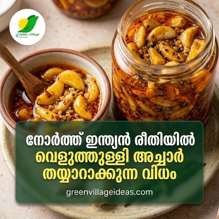 നോർത്ത് ഇന്ത്യൻ സ്റ്റൈൽ വെളുത്തുള്ളി അച്ചാർ തയ്യാറാക്കുന്ന വിധം | Authentic Market-Style Garlic Pickle AVvXsEjHB9MFx4K0gHkvIhYEQpChMWLXucchTnfTjRaBdxSuZO4hQyuMe OnvGUZOUcRG5hlCodl Yd9Bo2AfDjbkb6EvNGZvlxJKdO0SPrPYDdc GIBH KeqttrP3ksaTfWdqCMzzHoHuwrEysGZ7knJ3jZuDCTZBNAdj5m5 Ldg X6Pp7UuCCLlVf5s1l Tc