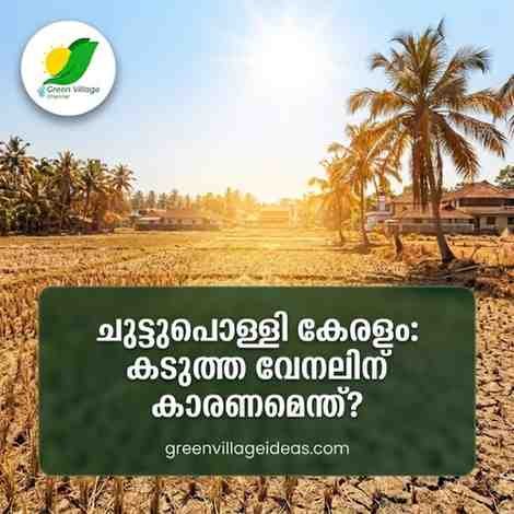 ചുട്ടുപൊള്ളി കേരളം; താപനില 39 ഡിഗ്രി, എന്നാൽ അനുഭവപ്പെടുന്നത് 50 ഡിഗ്രി ചൂട്! AVvXsEjL2hskKaiT40qB WkChRXGyDgRv1lpqL6 15KjMWcafc30rXiLjje3hwVuwwp4pppCKyKHgHy80sEavag36ElvV AKu4c2LpUI7AQM97UA0li5Ya0CTq6fYFW MQQGNp9UZhomKzzhpmByqpPDWltFjp1bHhdDGDgqlAGv 7Dr 4vbl WHkil7uzL7F5Y