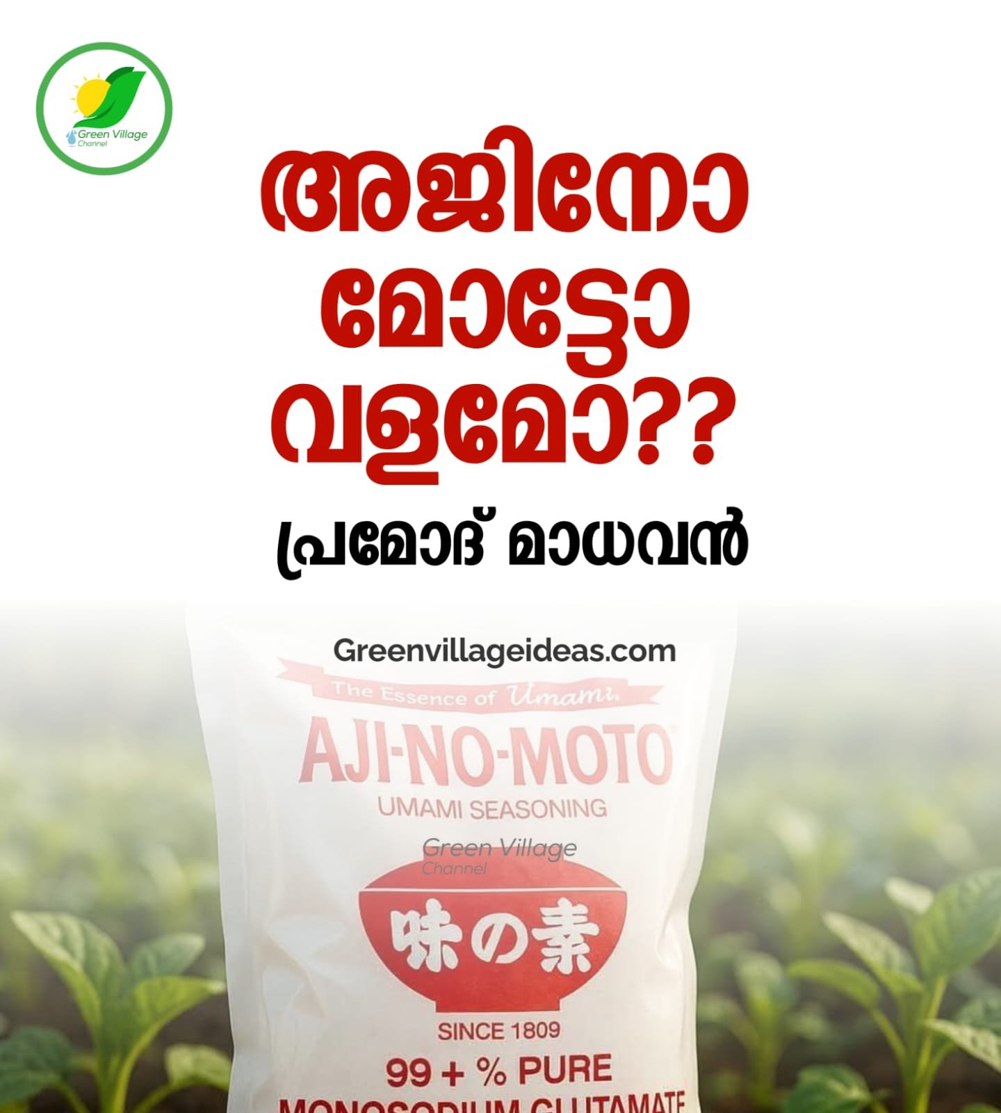 അജിനോ മോട്ടോ വളമോ? പ്രമോദ് മാധവൻ | Pramod Madhavan AVvXsEjhwU7wheRAIEMU6BUoG4g9O40pTnJI5zX1tSZ5lVtgK JpVm15z8jZuLnk51kQ5R5JDCq9k83osOTfoQCmPlLH6R UNZlx DZTHQ0LkzdSJopSQRDAuFiwgsuFS43AXSs5buTDzU6AQ5J7275mk3vIN1O 9YgsOzwWe3EiV7QPR2apq4vWD4ErEyEa6f4s16000