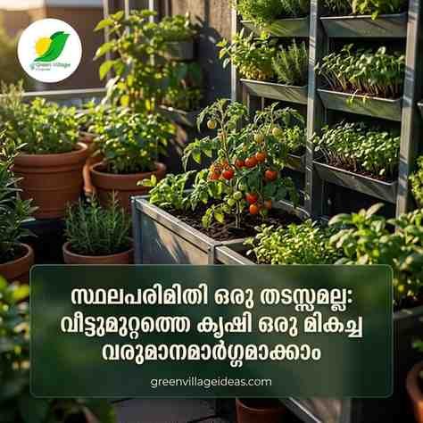 മട്ടുപ്പാവിൽ നിന്ന് വരുമാനത്തിലേക്ക്; നഗരവീടുകൾക്ക് പരീക്ഷിക്കാവുന്ന ഹരിത ബിസിനസ് ആശയങ്ങൾ! AVvXsEjr1mfoEVm6sNiRQRyKQ7DIcNXlUidCsqVC8GXqe6MmfPXbgQlhXnEkMoc1H39LvOVNxDiist YapgBtiofl1fG4muQXdbBzWkX07g3daYTbvdU36TyJasejCF2cO0N5XDMJ1n79gTh WP39e8J9yCb0v1bG ZGlPXbieLmmK5XtqcvHYMzQb8RTgatsM8