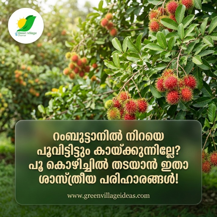 AVvXsEjuB QRuH97m NSv4dr3PC2bADehRTiHo3FvvJyQtr62tbqPyZmm2v4JXpM3YHY VmnQTa3uWbVfHZnvjssbM5sm57GxoMb P6N7RGqh EP5VwaWNF N2wIAP1SY06gG HWW5bRK9k3zrJ2o VGmN6AgIZlSpILqbRQACtBxqcI09JD DmBrBQAoN7Emh8s16000