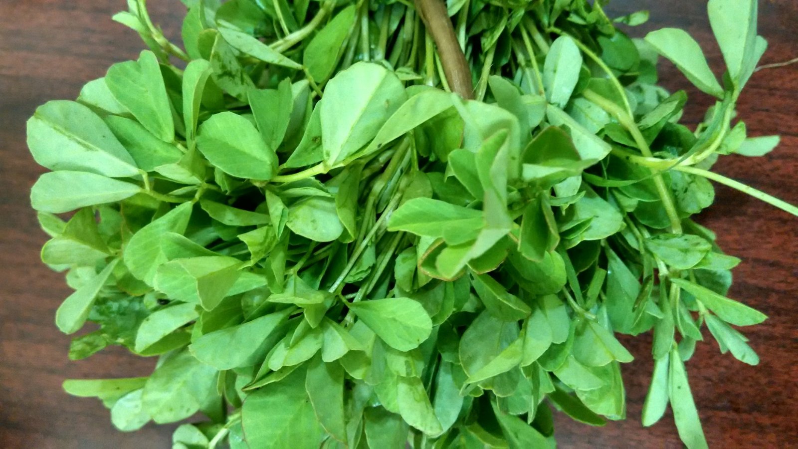 Aesthetic Bunch Of Fenugreek Greens